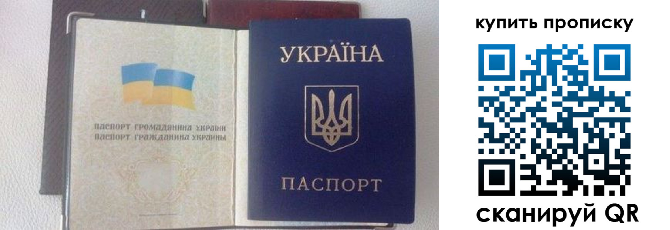 временная регистрация адрес в Курской области