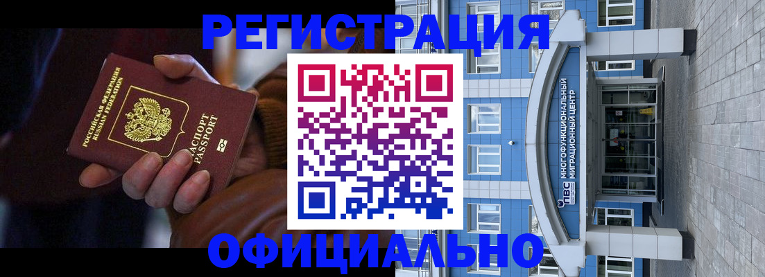 временная регистрация поиск в Курской области